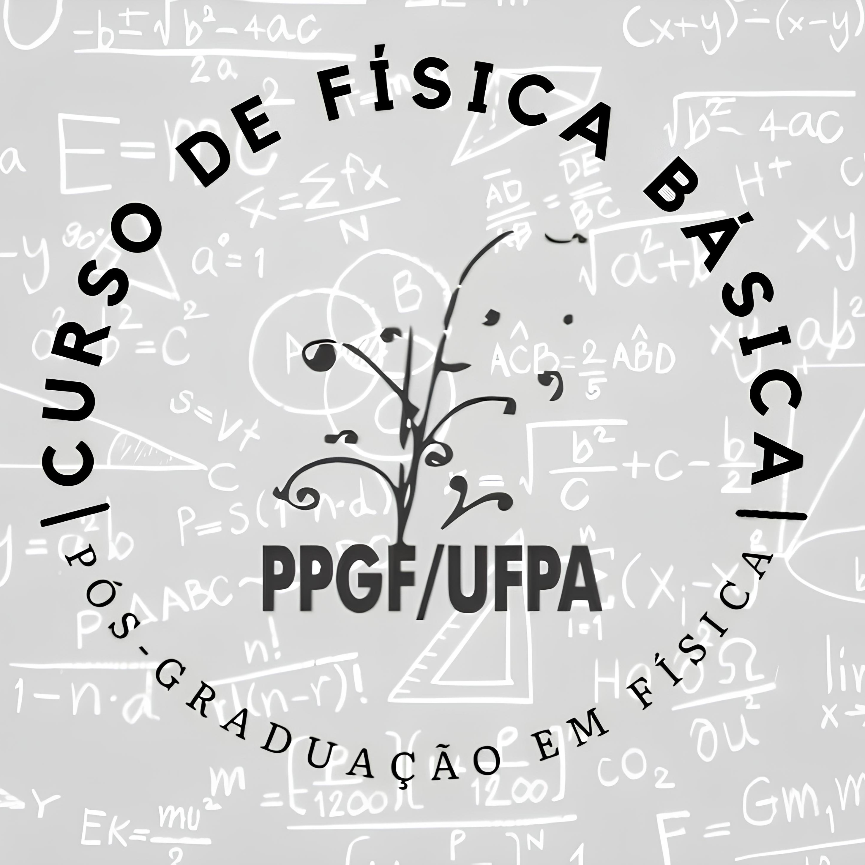 Curso de Física Básica - UFPA